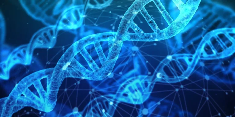 dna_1920
